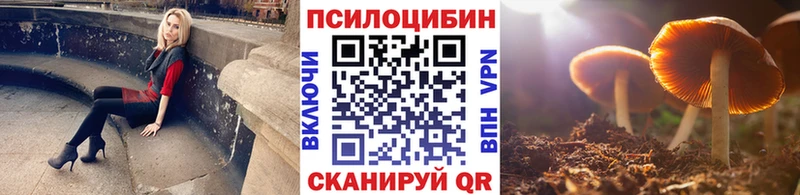 Галлюциногенные грибы Psilocybine cubensis ОМГ ОМГ ссылки Южно-Сухокумск